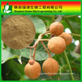 natural Horse Chestnut Extract Aescin powder 20%